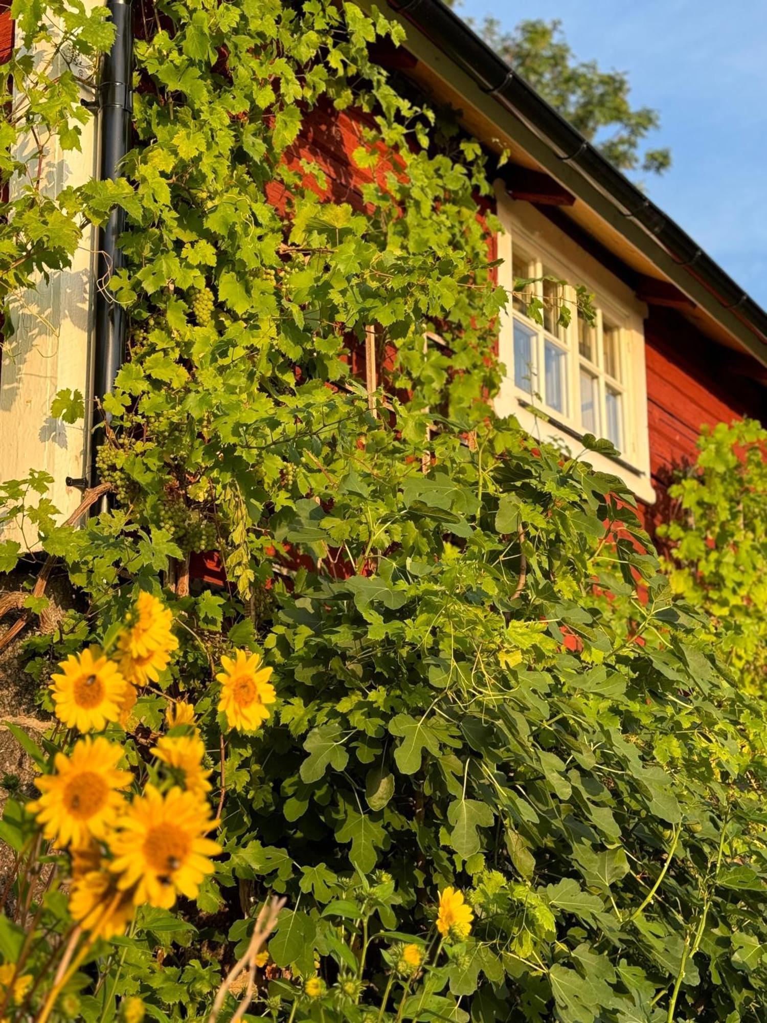Brunstorpsgard Braenneriet Villa Huskvarna Eksteriør bilde